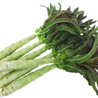 ALL_catalog_24F19_tjjIIBicUg