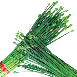 ALL_catalog_24F19_w2rSUy7cSv