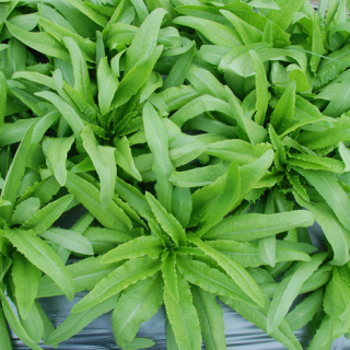 ALL_catalog_24F19_wjNgJ3iU69