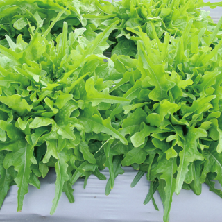 ALL_catalog_24F19_xIfNJZNZW6