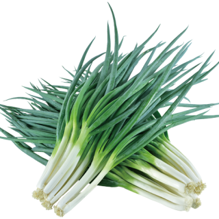 ALL_catalog_24F19_xtfATtV5sW