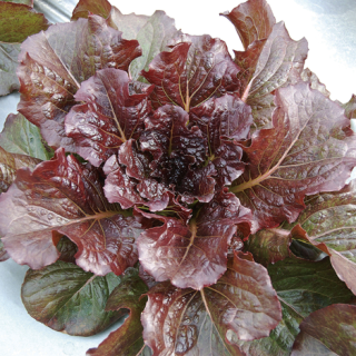 ALL_catalog_24F19_yWevyxW6op