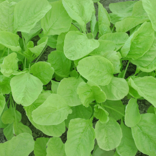 ALL_catalog_24F19_yoHQg92gJY