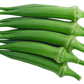 ALL_catalog_24F19_zCBu8IGXFu