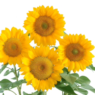 ALL_catalog_24F21_3ptcYQGRw0