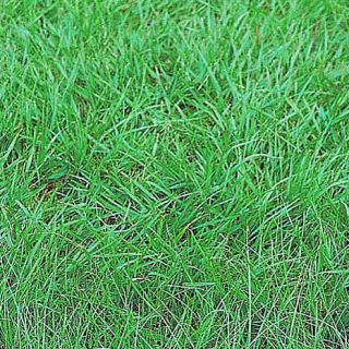 ALL_catalog_24F21_7mlZhuynvE