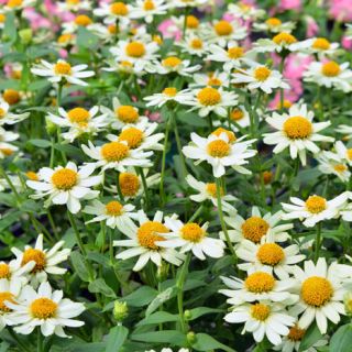 ALL_catalog_24F21_9oo6s3GfOo