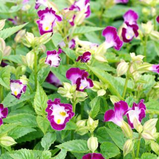 ALL_catalog_24F21_BdZtHQzBf7