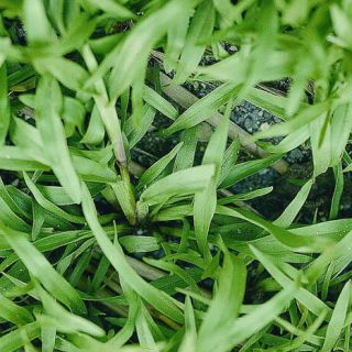 ALL_catalog_24F21_Edzz9an7ba