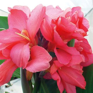 ALL_catalog_24F21_M6rjl08HJJ