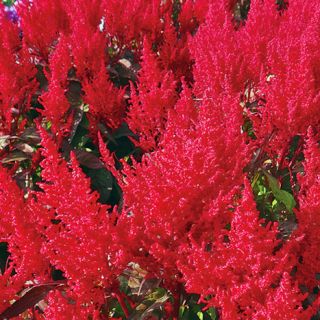 ALL_catalog_24F21_MkCXEo9tBq