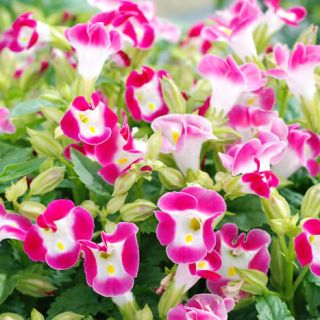 ALL_catalog_24F21_RbjTnDwVpO