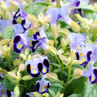 ALL_catalog_24F21_S7UfCHmJGB