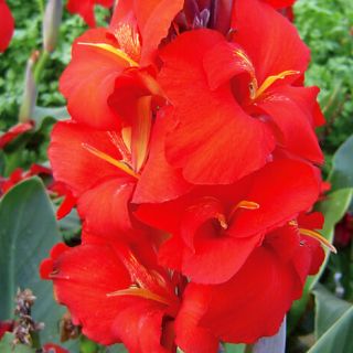 ALL_catalog_24F21_SFYvgyTGmN