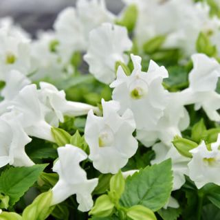 ALL_catalog_24F21_TqnJHcF1xR