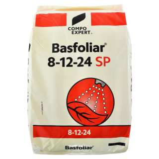 ALL_catalog_24F21_XGnGrnCqjX