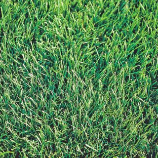 ALL_catalog_24F21_a9mn9SWMyc