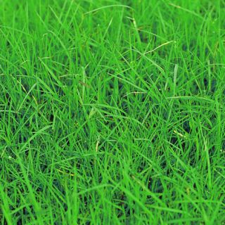 ALL_catalog_24F21_dGaVZgp1Yr