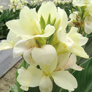 ALL_catalog_24F21_fREmDFTrby