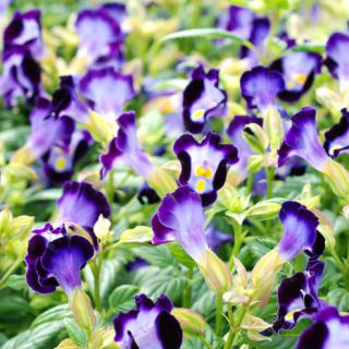 ALL_catalog_24F21_jVtMHLhX18