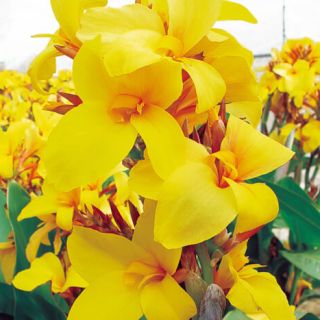 ALL_catalog_24F21_kPz1Cqh80y