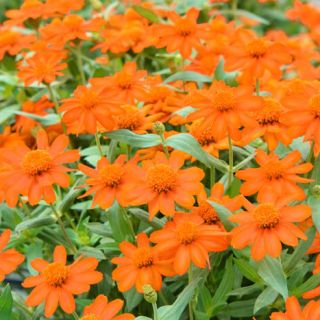 ALL_catalog_24F21_oQcgSDLDel