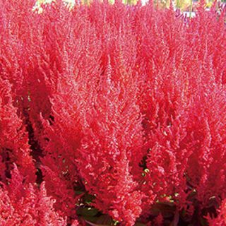 ALL_catalog_24F21_oRTHWBKSoh