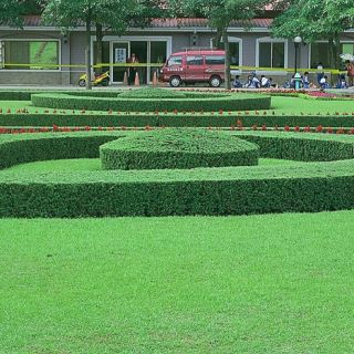 ALL_catalog_24F21_pew6XEd8RJ