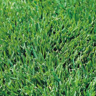 ALL_catalog_24F21_rwz5Nk5KrL