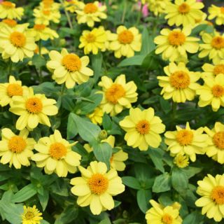 ALL_catalog_24F21_sSyCaQPFoS