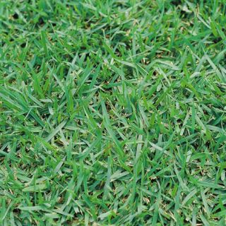 ALL_catalog_24F21_sbFnk6ngRz