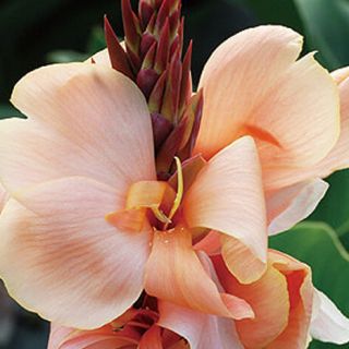 ALL_catalog_24F21_yMwPC8l5Aq