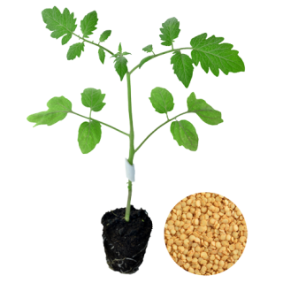 ALL_catalog_24F24_ROruMhr51U