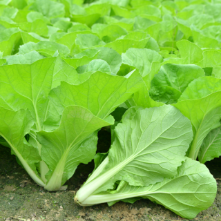 ALL_catalog_24F24_o3gHsfsCMw