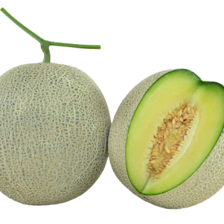 ALL_catalog_24F24_qleuRIloM6