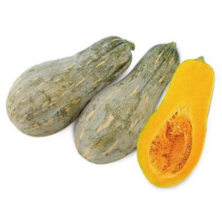 ALL_catalog_24G05_iNHbW4lc1a