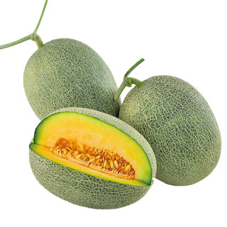 ALL_catalog_24G18_2WRgdwIdzJ