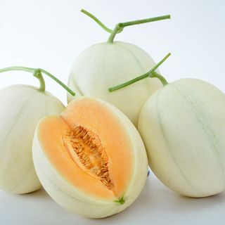 ALL_catalog_24G18_6Aq1Ni0b1h