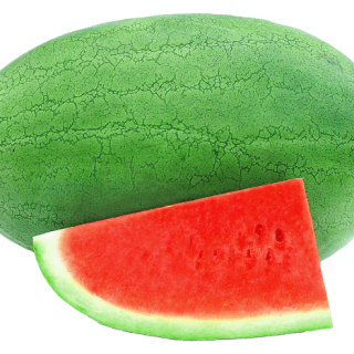 ALL_catalog_24G22_0MUjno63ae