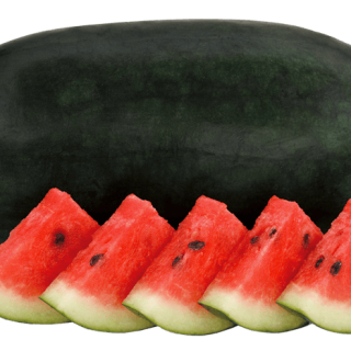 ALL_catalog_24G22_TV9GPhSxDf