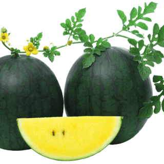 ALL_catalog_24G22_jrCtvXXxak