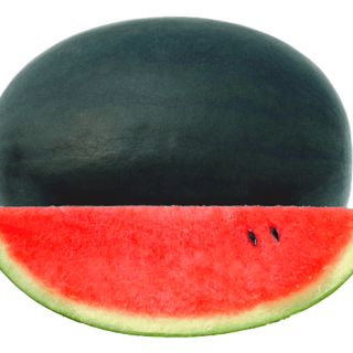 ALL_catalog_24G22_uDRpK6PoaZ