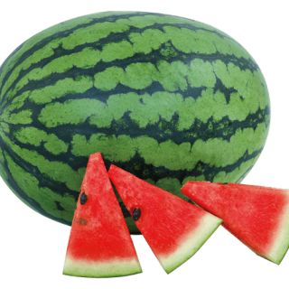 ALL_catalog_24G22_zxltppOCqm