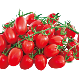 ALL_catalog_24G23_0BaVyuDkkI