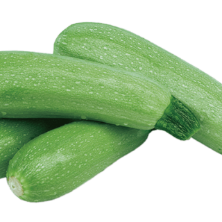 ALL_catalog_24G23_0wu93MtAE9