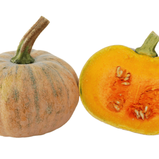 ALL_catalog_24G23_1fae61KPPW