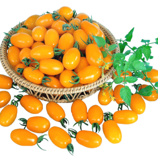 ALL_catalog_24G23_3VfRn4UMq8