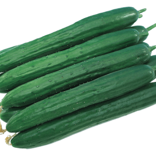 ALL_catalog_24G23_3W4NYjgLYL