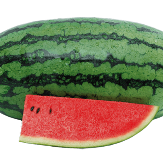 ALL_catalog_24G23_4suIIOvB1i