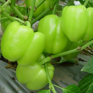 ALL_catalog_24G23_6tjcZzeQy8